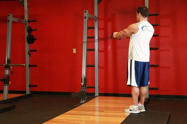 Banded reverse fly, start position