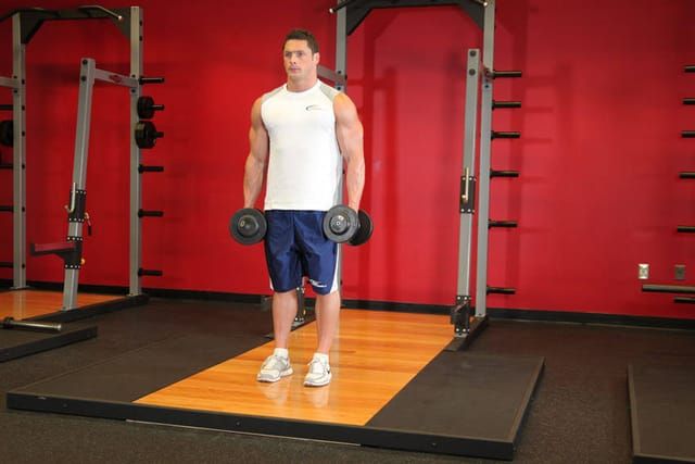 Dumbbell biceps curl, start position