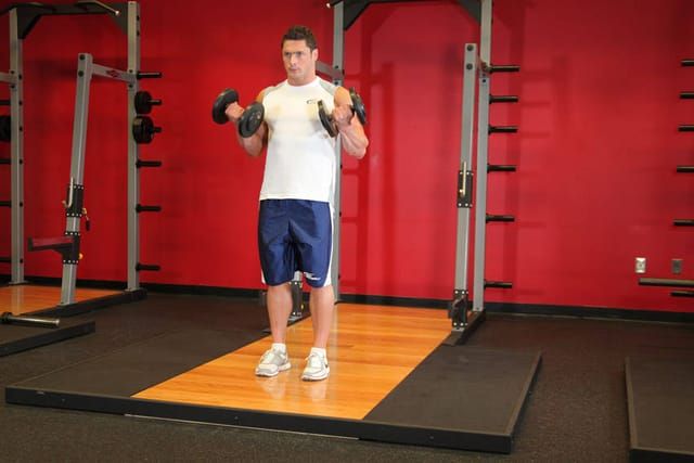 Dumbbell biceps curl, finish position