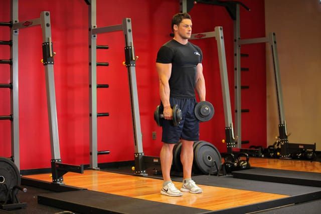 Dumbbell Romanian deadlift, start position