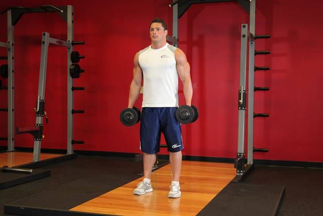 Dumbbell squat, start position